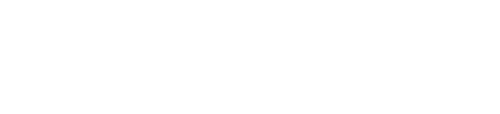 light logo